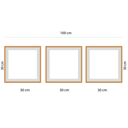 BipBop – Set 3 Quadri Cameretta Bambini con Cornice in Legno Naturale – Decorazioni Parete Cameretta Neonato – Set da Parete per Camera Bimbo e Bimba – mis. 40x50-30x30-40x50-Animals (Animal Tris)